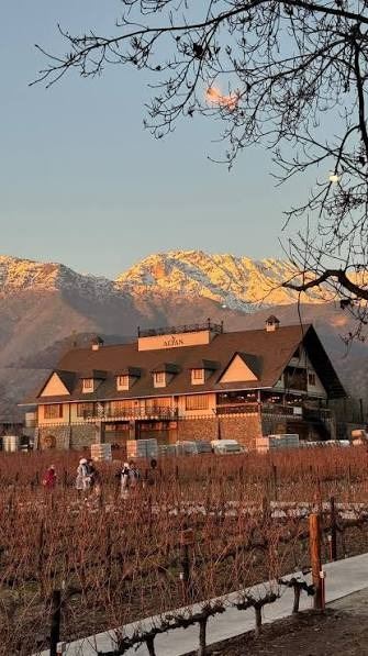 Vinícola no Vale do Maipo